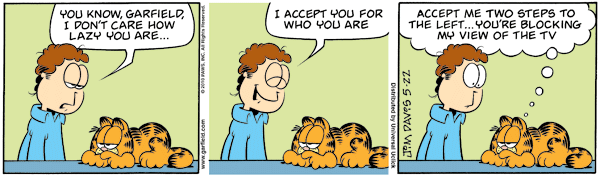 Garfield comics 22-05-2010 