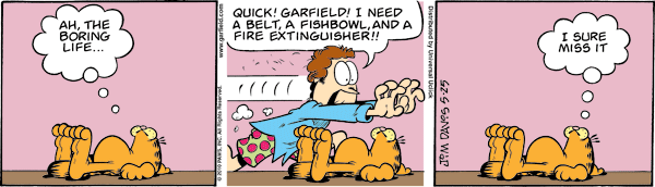 Garfield comics 25-05-2010 