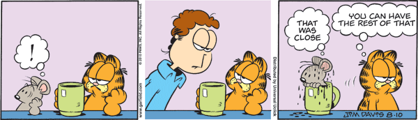 Garfield comics 10-08-2010 