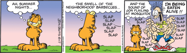 Garfield comics 17-08-2010 