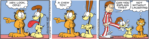 Garfield comics 20-10-2010 