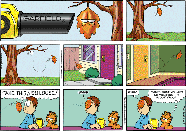 Garfield comics 24-10-2010 