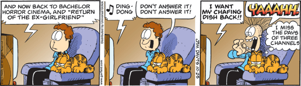 Garfield comics 25-10-2010 