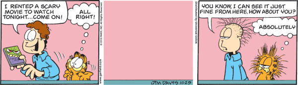 Garfield comics 29-10-2010 