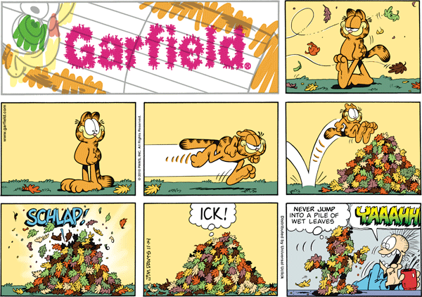 Garfield comics 14-11-2010 