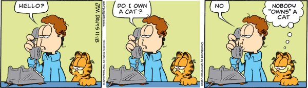 Garfield comics 18-11-2010 