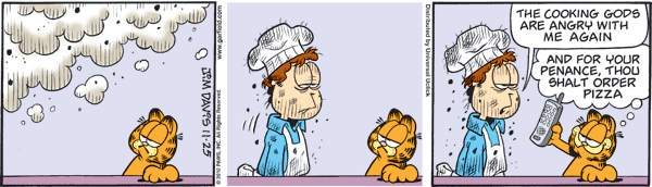 Garfield comics 25-11-2010 