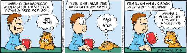 Garfield comics 13-12-2010 