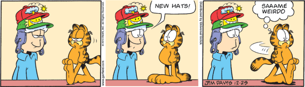 Garfield comics 29-12-2010 