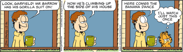 Garfield comics 31-12-2010 