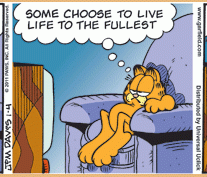 Garfield comics 11-12-2010 